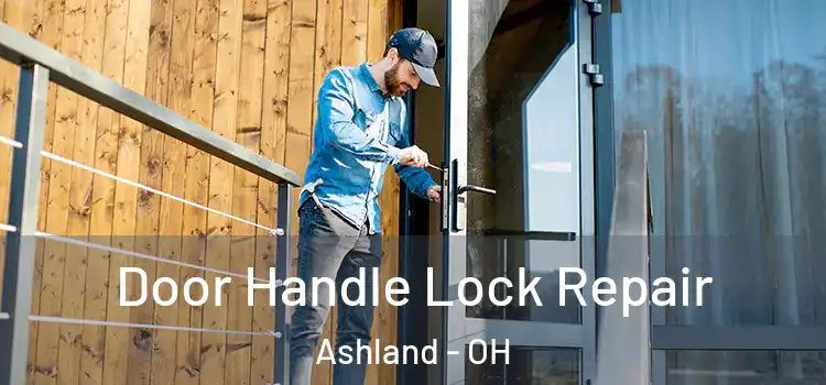 Door Handle Lock Repair Ashland - OH