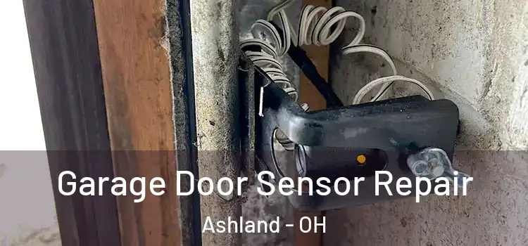 Garage Door Sensor Repair Ashland - OH